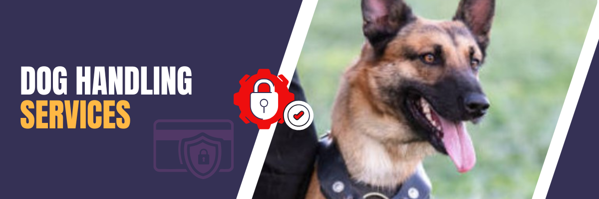 Protect your property (1)